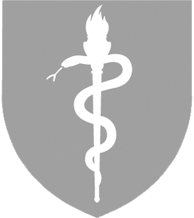 Medical Logo of Snake, Torch, and Shield